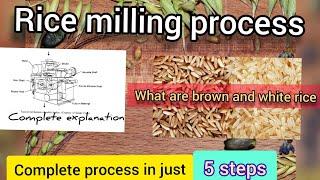 Rice milling. Machinery used in rice milling. Brown rice and white rice. Paddy separation process.