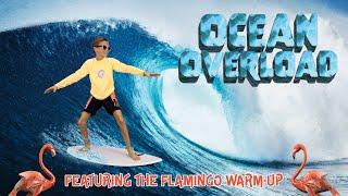 Ocean Overload (Featuring The Flamingo Warm-Up)  |  Exercises For Kids  |  Summer Brain Break