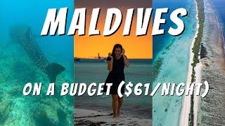 Maldives On A Budget | 5 Nights on Dhigurah Island (Whale Sharks, Manta Rays, Fun Facts, Drone)