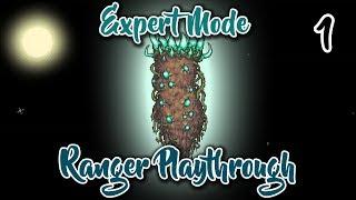 Terraria // Expert Mode Ranger Playthrough // Episode 1 - [Origin]