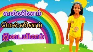 க  ச ட த ப ற  தமிழ் எழுத்துக்கள் |tamil letters song|tamil rhymes|vallinam, mellinam, idaiyinam