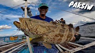 Kitang PALANGRE Green GROUPER marinated at Pinatuyong PAKSIW