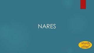 Nares Meaning