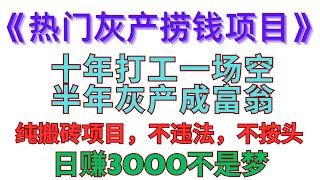 2024 热门 灰产 赚钱 项目 十年打工一场空，半年灰产成富翁 选择大于努力，项目决定一生。纯搬砖毫无风险，顺驰商贸项目介绍（真实测试网站）