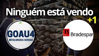 TOP 3 AÇÕES PARA 2024 com ALTOS DIVIDENDOS BRAP4, BBAS3, GOAU4 Metalúrgica Gerdau