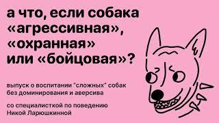 Выпуск с кинологом о воспитании «агрессивных», «охранных» или «бойцовых» собак