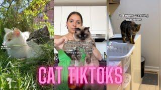 cat tiktoks cause cats are neat