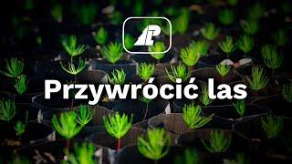 Przywrócić las