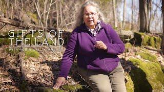 GIFTS OF THE LAND | A Guided Nature Tour with Robin Wall Kimmerer | The Commons KU