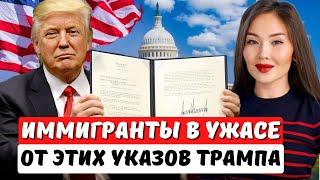 Шокирующие указы Трампа! Что будет с иммиграцией в США? Иммиграционный юрист США Айя Балтабек