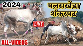 पलसखेडा शंकरपट 2024 ALL-VIDEOS | LIVE SHANKARPAT | BULL RACE IN INDIA | BAIL  PAT | INDIAN ANIMALS