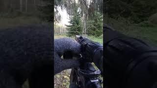 Beautiful #AR15 #ASMR In The Woods  #warzone