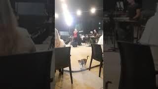 Öztürk Öz - Demir Attım Yanlızlığa