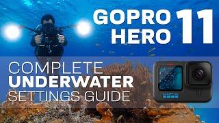 GoPro Hero 11 | Best Underwater Video & Photo Settings - Complete Setup Guide