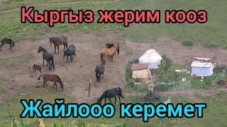 Кымыз устундо кулуктор жонундо соз болду