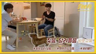 [SOON] 외부 소리, 외부 손님에게 짖음이 있는 강아지 방문교육