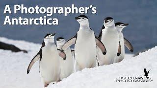 A Photographer's Antarctica - A 10 day photography trip to Antarctica during prime January dates