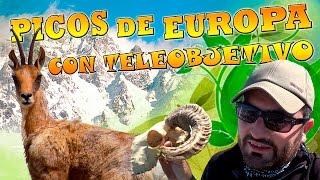 Visito los Picos de Europa con teleobjetivo