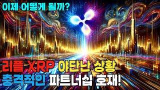 리플 XRP 야심이 드러났다!