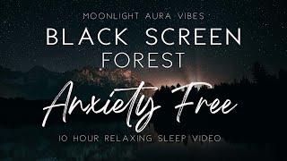 Black Screen  l  LET GO OF ANXIETY   l  Forest Sounds  l  Subliminal  l  10 Hours of Nature Sounds