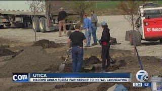 Macomb Urban Forest Partnership to install landscaping