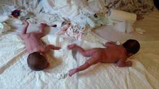 Twin babies crying and tumbling ( Dvojičky plačú a hemžia sa)