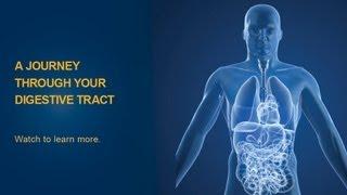 The Digestive Process - University of Michigan Health System