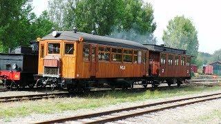 Museumdays famous Anten - Gräfsnäs Järnväg 2016 - overview all rolling stock