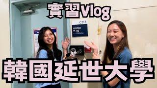 【實習Vlog】亂入韓國延世大學實習生的一天 #延世大學好大 #學餐好好吃  #出國出差好好玩 ＃海外實習生活 #電機系 #電子系