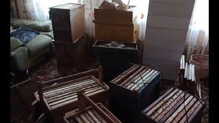 Мои ловушки на пчел в деле даже зимой