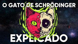 O Gato de Schrödinger Explicado