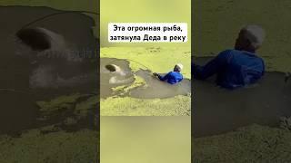 Дед словил гиганта на бамбуковую удочку ! #рыбалка