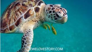 Sea Turtle Necklace - Gorgeous Pendant Necklaces Inspired by Amazing Sea Turtles... So Beautiful!