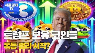 트럼프, 이더리움·도지코인·페페 보유…폭등 랠리 시작?