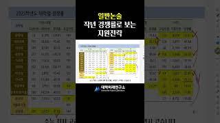 #논술전형 경쟁률로 보는 지원전략