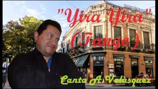Yira Yira , Tango , canta Alfredo Velasquez (2024)