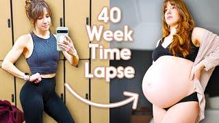 Adorable Pregnancy Time Lapse - Incredible Week by Week Transformation! (third pregnancy)