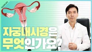 [자궁경의 정석] 1. 자궁내시경은 무엇인가요?