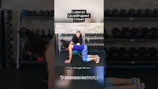 Lateral Quadruped Crawl