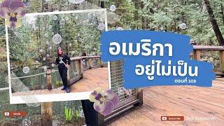 ICE ประกาศปล่อยตัวอาชญากร 4 แสนคน EP. 315