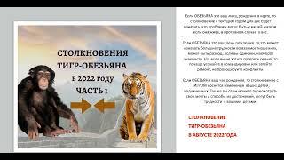 ТАКИЕ КРАСАВЦЫ А МИР ИХ НЕ БЕРЕТ! АВГУСТ БОГАТ НА КОНФЛИКТЫ! ГЛАВНОЕ СПОКОЙСТВИЕ!