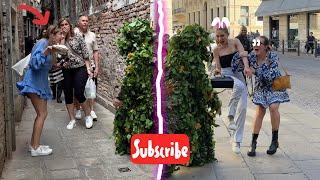 INCREDIBILE AND BEST SCARES OF BUSHMAN PRANK 2024  CRAZY MOMENTS! HILARIOUS REACTIONS