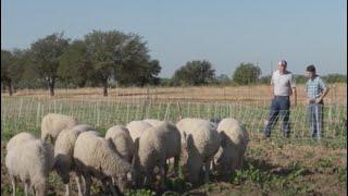 Dr. Noland and Rancher Chad Raines, Leaders in Sustainable Agriculture on America's Heartland