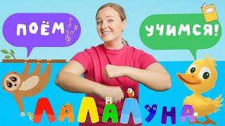 29 Минут Веселья для Детей! Развивающий Сборник для Детей! Разминка, Животные, Акулёнок #детям