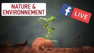 [Facebook LIVE] Les plantes pensent-elles ? - Science & Vie TV