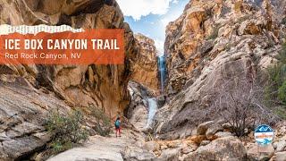 How to Hike Ice Box Canyon in Red Rock Canyon NCA | Las Vegas