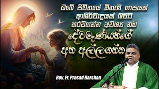 ඔබේ ඕනෑම ශාපයක් ආශිර්වාදයක් කරගැන්මට අවශ්‍ය නම් දේවමෑණියන්ගේ අත අල්ලගන්න - Rev. Fr. Prasad Harshan