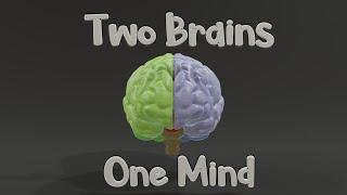 Why Do We Have Two Brains?