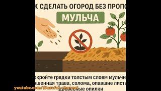 4 гениальных лайфхака для огорода без прополки — сад без лишней возни
