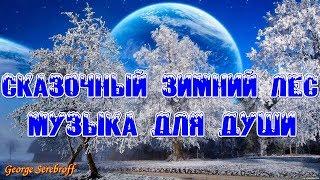 Сказочный зимний лес  Музыка для души